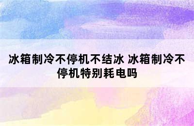 冰箱制冷不停机不结冰 冰箱制冷不停机特别耗电吗